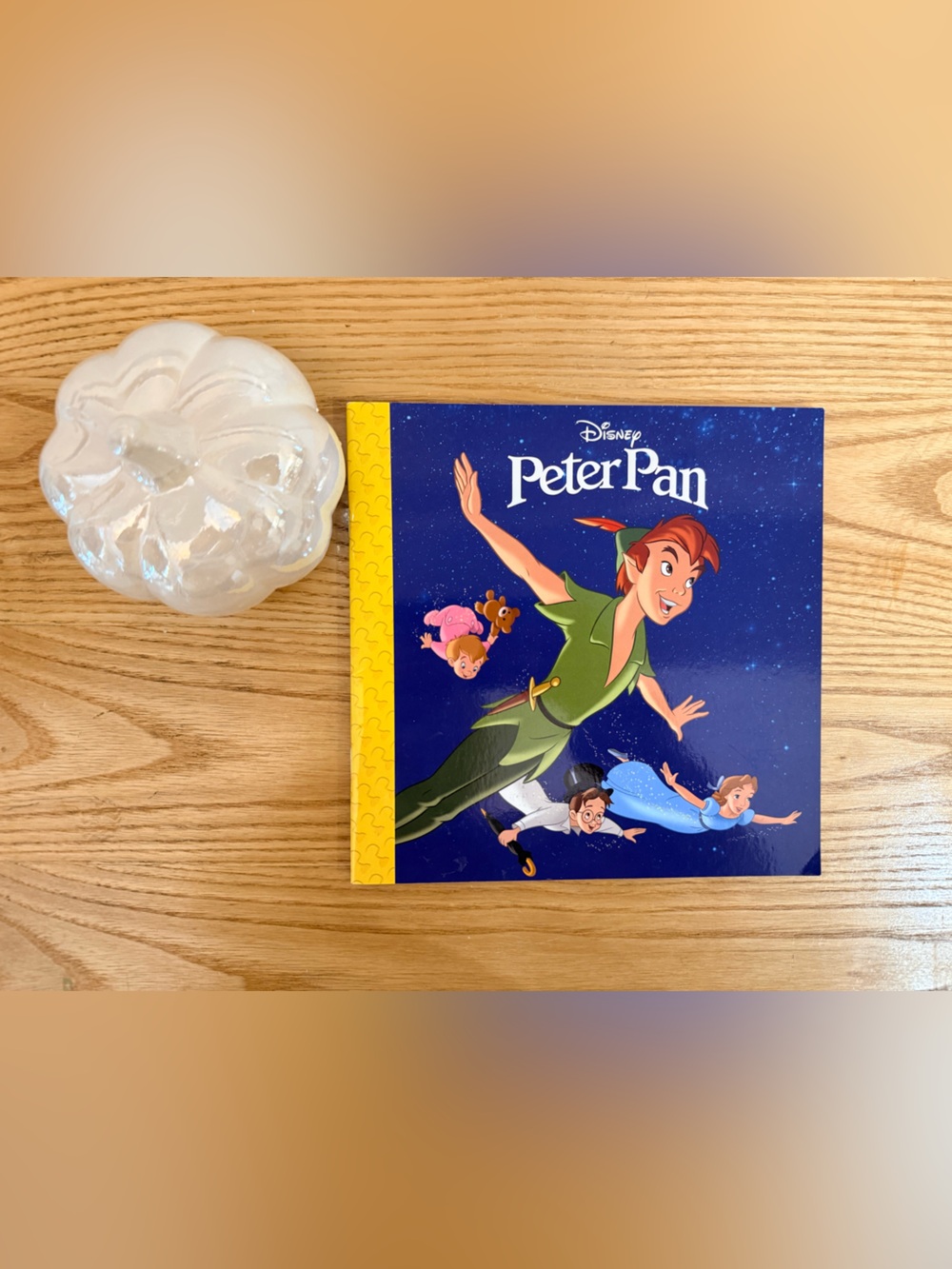 🌿10/$25 • Disney Peter Pan Paperback